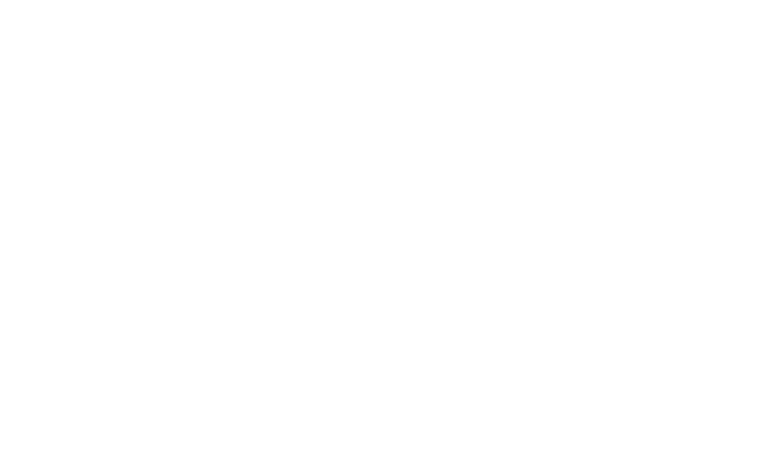 Valor Carts
