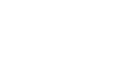Valor Carts